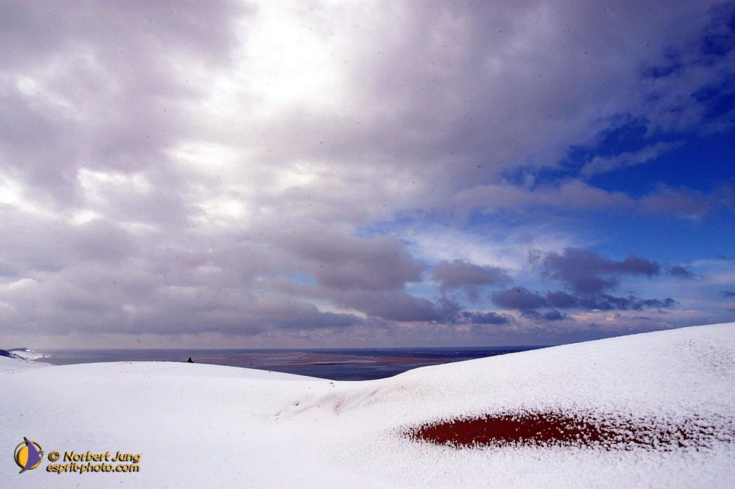 Nom de l'image : D1112098-nef-01_(c)Norbert-JUNG — Description :